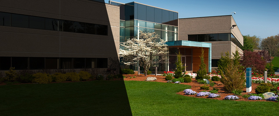 Lodi Landscapers