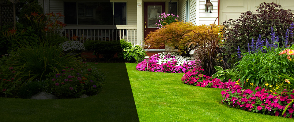 Lodi Landscapers