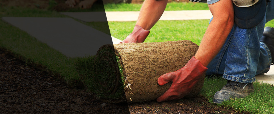 Lodi Landscapers